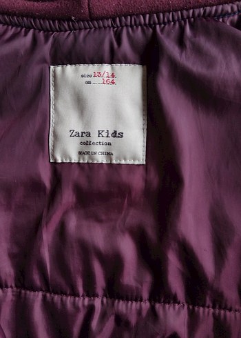 Zara Erkek Çocuk Mavi Kapüşonlu Fermuarlı Mont - Görsel 3