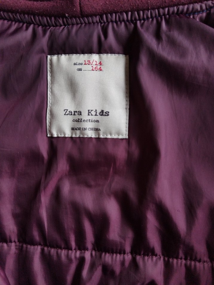 Zara Erkek Çocuk Mavi Kapüşonlu Fermuarlı Mont - Görsel 3