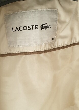 Lacoste mont 