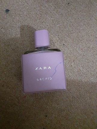 zara ve koton parfum