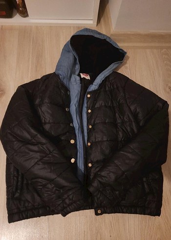 Koton mont