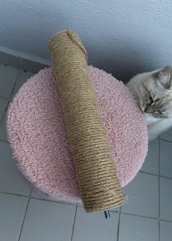 Pembe Kedi Tırmalama ve Dinlenme Ünitesi - Görsel 2