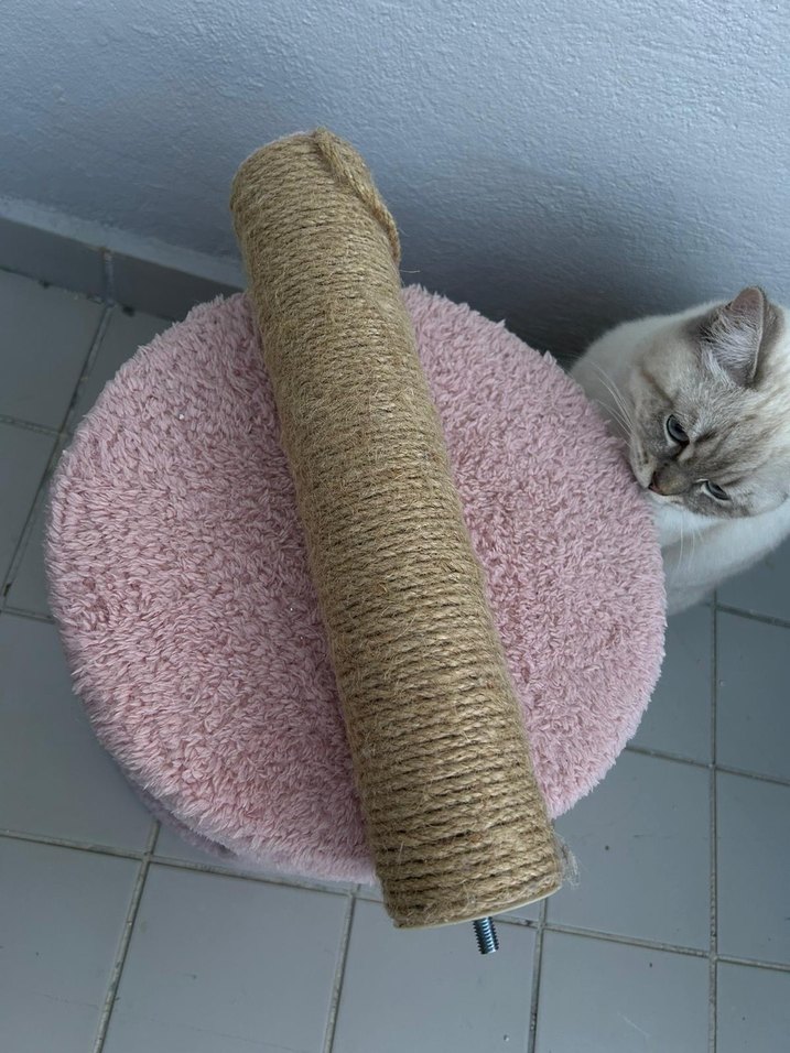 Pembe Kedi Tırmalama ve Dinlenme Ünitesi - Görsel 2