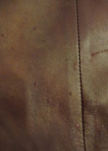 Bordo Deri Kemerli Kadın Ceket - Görsel 4