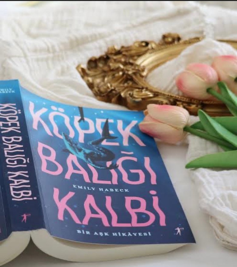 Köpek Balığı Kalbi - Emily Habeck - Görsel 2