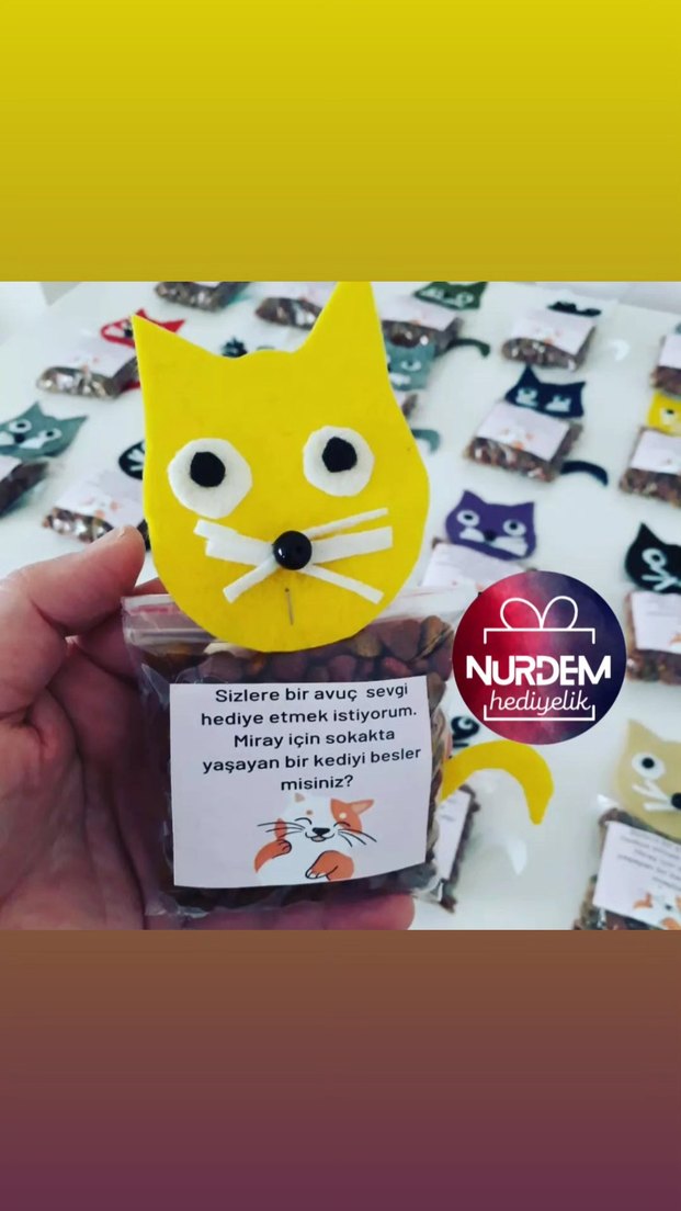 Renkli Kedi Figürlü Hediyelik Mama - Görsel 3