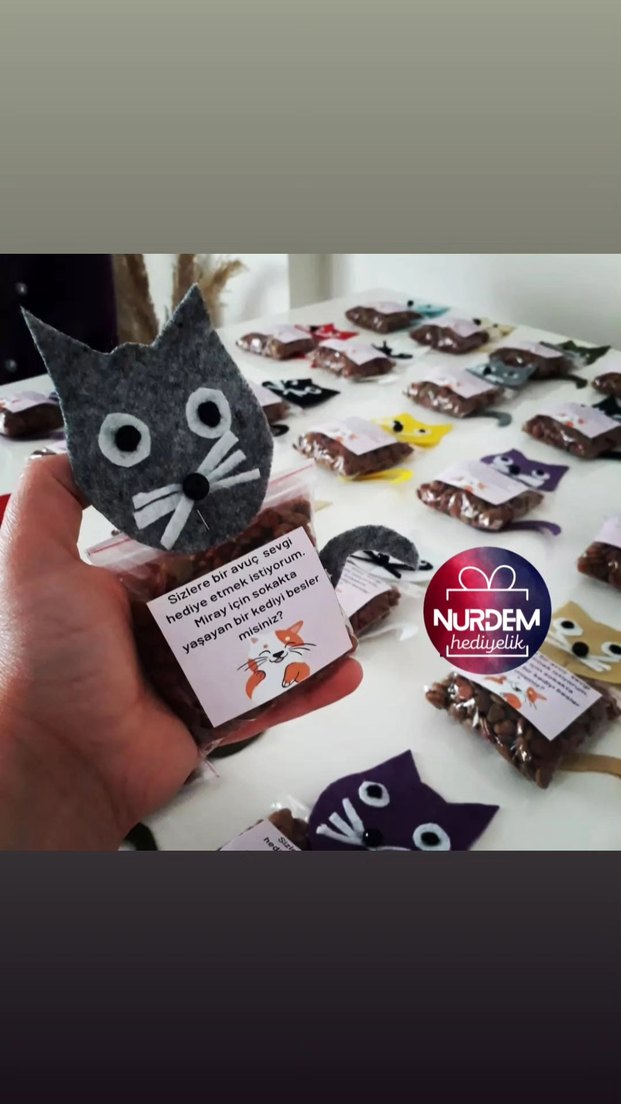 Renkli Kedi Figürlü Hediyelik Mama - Görsel 5