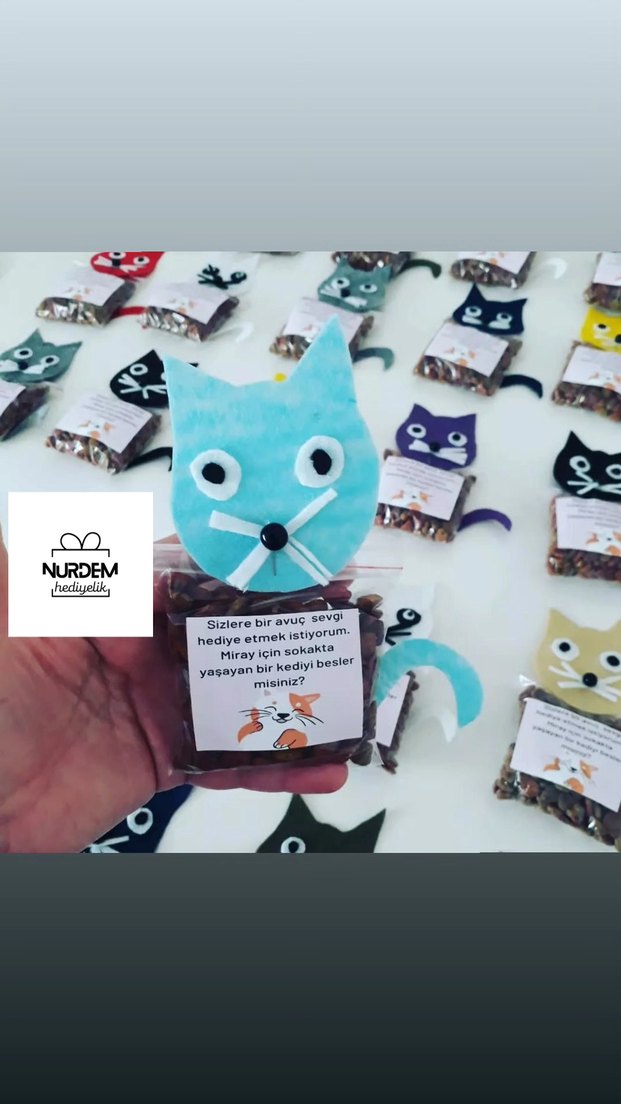 Renkli Kedi Figürlü Hediyelik Mama - Görsel 4