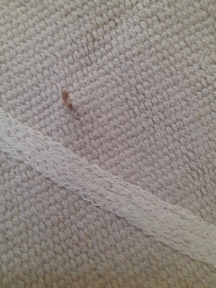 ikea kilim - Görsel 4