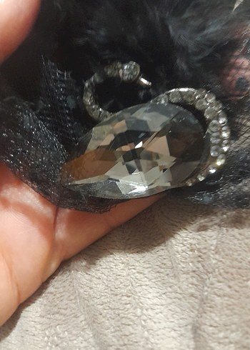 Siyah tüylü iğnelik - Görsel 2