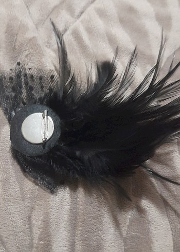 Siyah tüylü iğnelik - Görsel 4