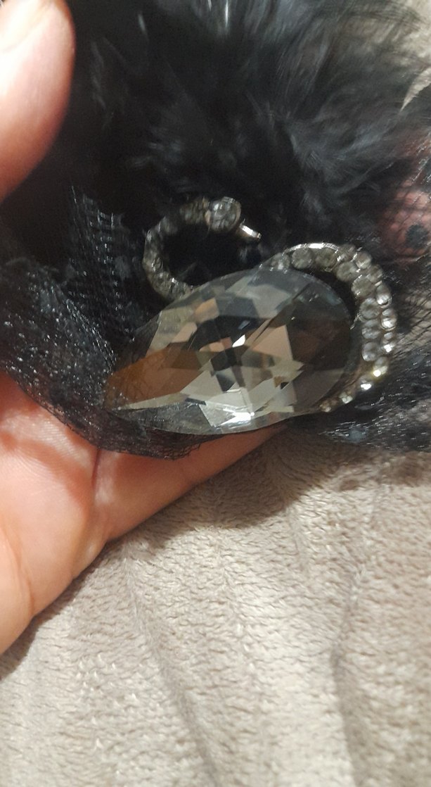 Siyah tüylü iğnelik - Görsel 2