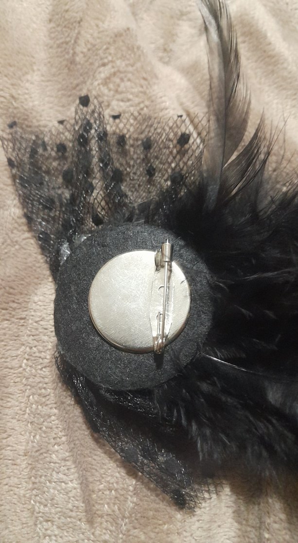 Siyah tüylü iğnelik - Görsel 3