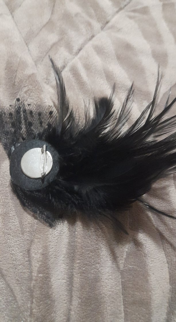 Siyah tüylü iğnelik - Görsel 4