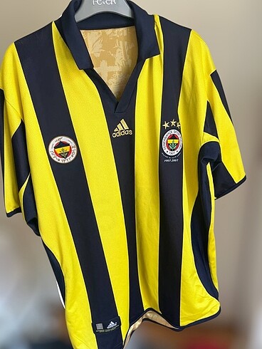 Fenerbahçe 100. Yıl 2007 Altın forma