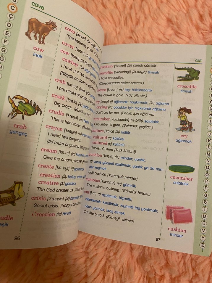 Resimli İngilizce Sözlük - Görsel 3