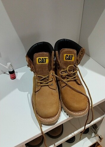 Cat Bot orjinal