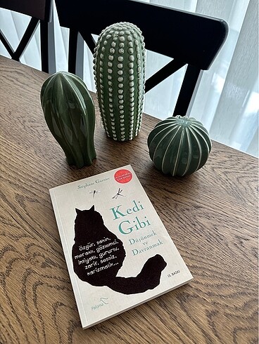 Kedi Gibi Düşünmek ve Davranmak Stephane Garnier Paloma Kitap Ro