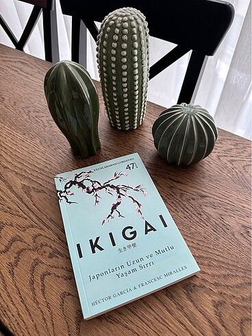 IKIGAI ikigai Hektor Garcia & Francesc Miralles Kitap Kişisel Ge
