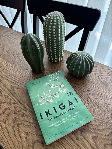 IKIGAI ikigai Uygulama Rehberi Hektor Garcia & Francesc Miralles