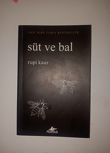 Süt ve bal şiir kitabı