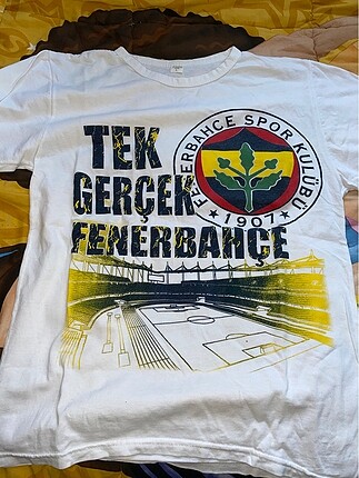 Fenerbahçe Tişört