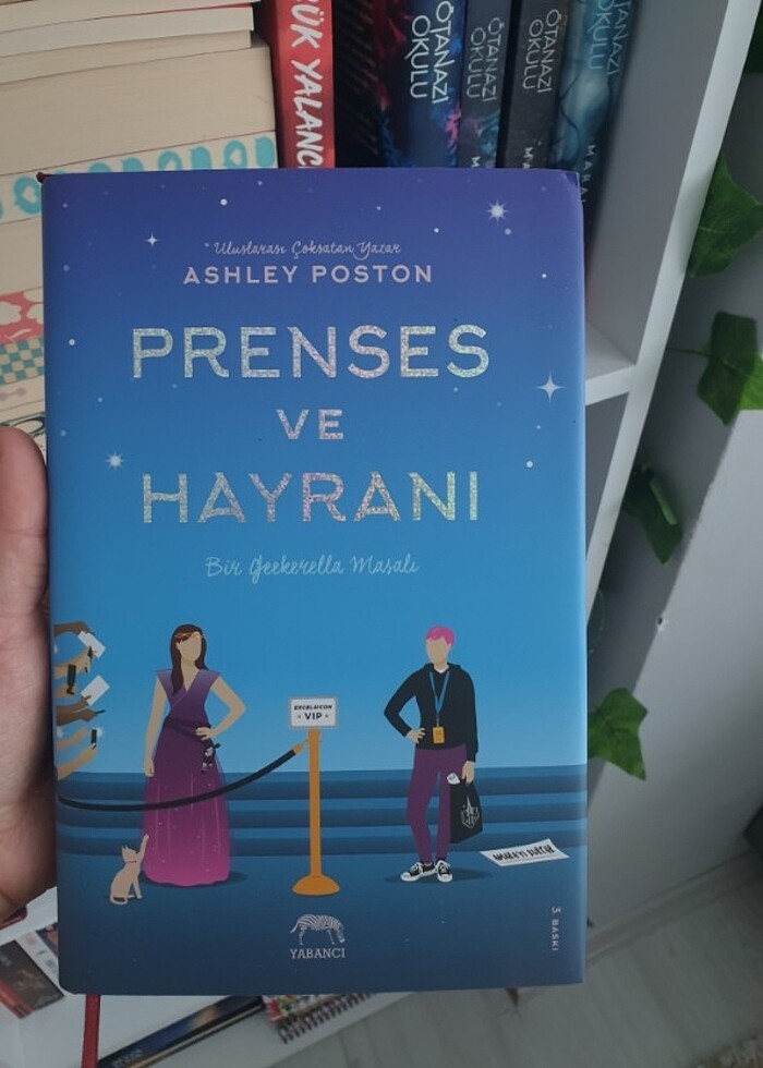 Geekerella Serisi - Görsel 2