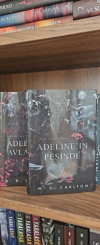  Adaline'in Peşinde Ciltli Seri