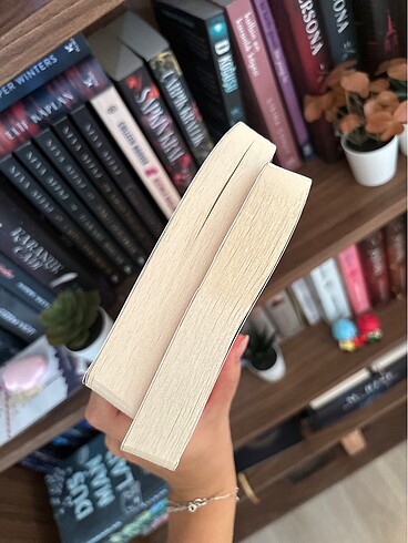 Düşmüş Fae Tanrıları serisi 1-2 Altın Kanatlar ve Kızıl Gökler - Görsel 5