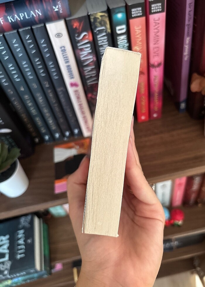 Kalbin En Karanlık Köşesi - Lisina Coney - Görsel 3