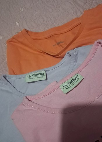 lcw 11-12 - Görsel 2