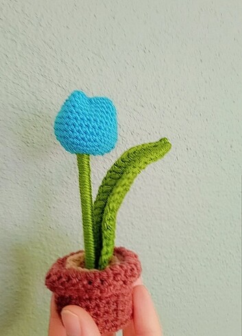 Mini çiçekler 