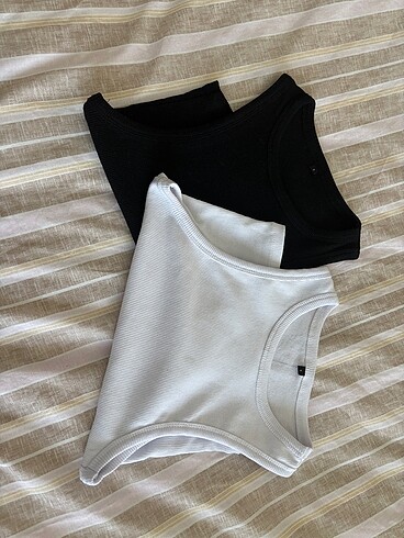T&M Fitilli Body