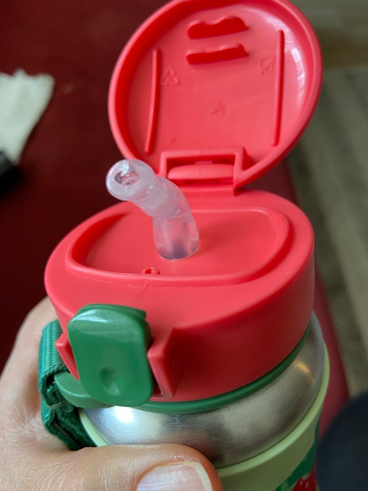 Skip hop Çilek Desenli Çocuk çelik suluk matara - Görsel 4