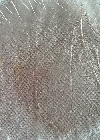 Parlak Beyaz Göğüs Pedi - Görsel 2