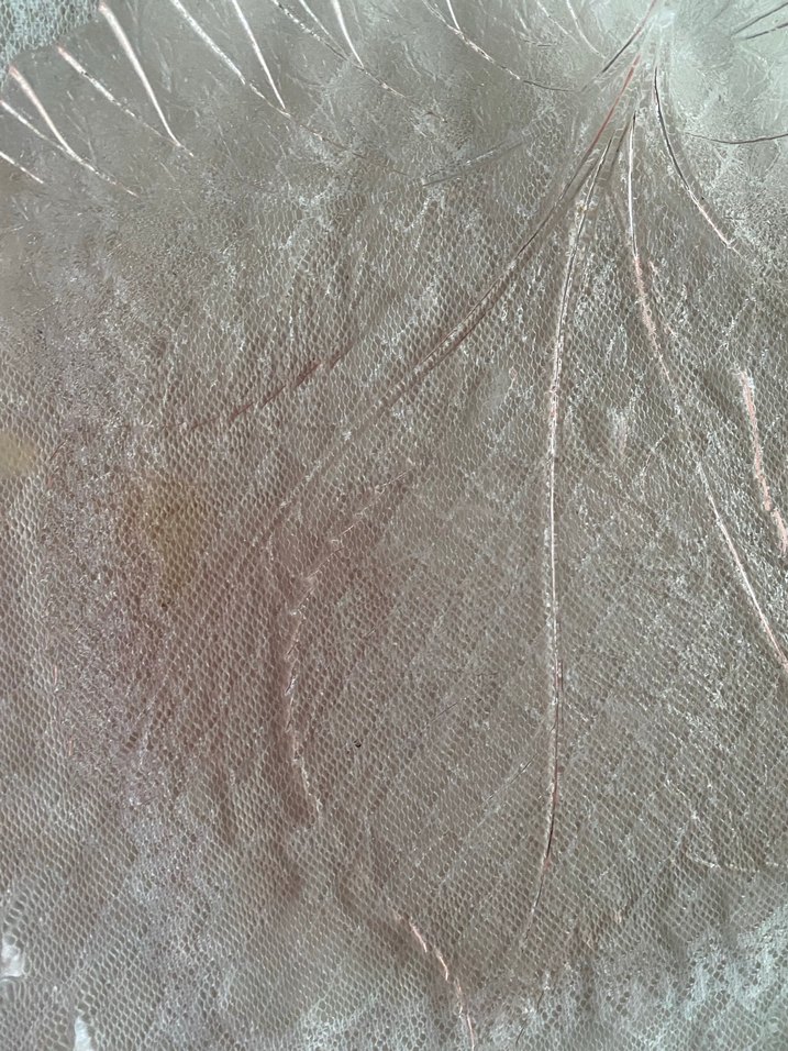 Parlak Beyaz Göğüs Pedi - Görsel 2