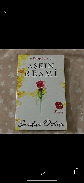 Aşkın resmi kitap