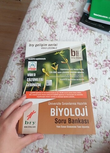  Beden Renk Tyt ayt soru bankası