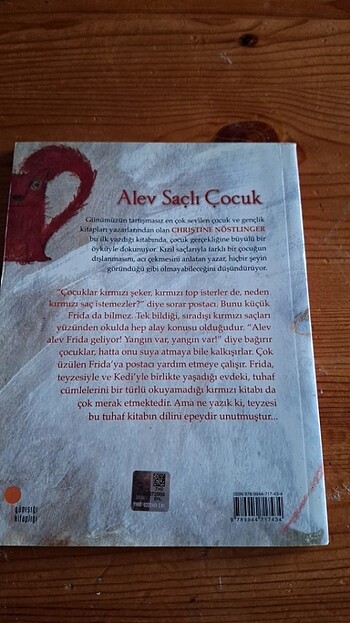  ALEV SAÇLI ÇOCUK 