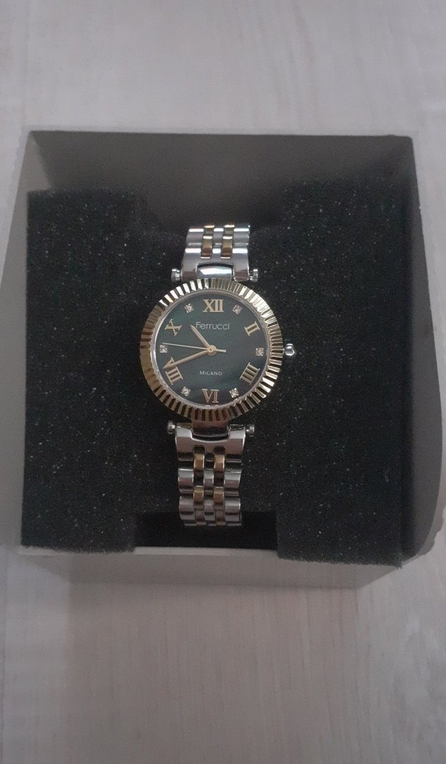 Kadın Klasik Altın-Gri Ferrucci Kol Saati - Görsel 2