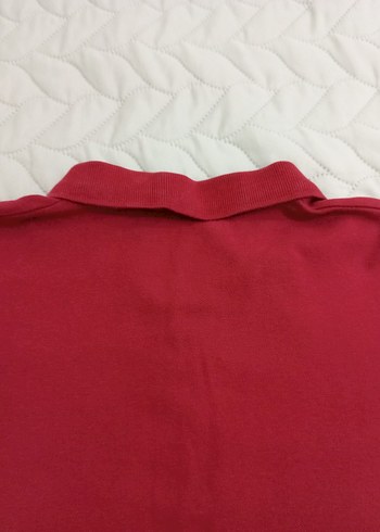 m Beden kırmızı Renk M slim fit bordo Erkek Polo Tişört