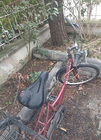 Dahlia Bianca 3 tekerlekli bisiklet bianchi orjinal