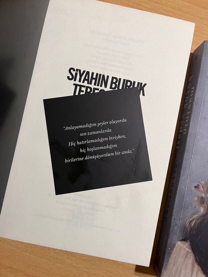 Zeynep Sey Roman Seti - 2 Kitap - Görsel 3