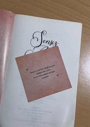 Sensiz Asla - Güneş Demirel - Görsel 2