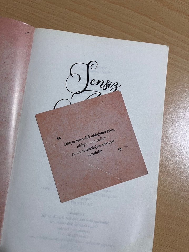 Sensiz Asla - Güneş Demirel - Görsel 2