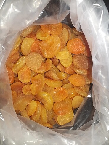 Kuru kaysı