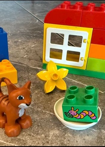 Lego Duplo Kedi ve Köpek Bahçe Seti
