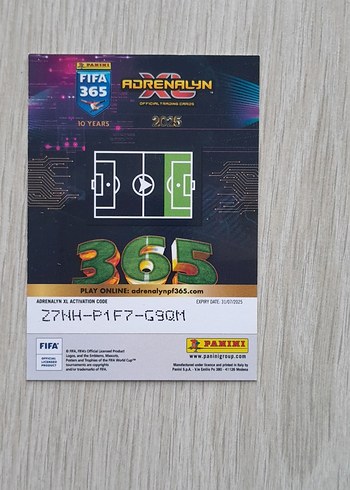 PANİNİ ICON RONALDO R9 KARTI - Görsel 2