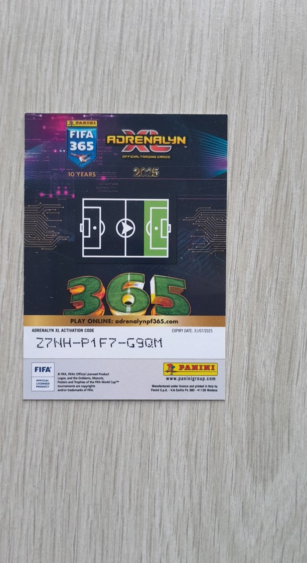 PANİNİ ICON RONALDO R9 KARTI - Görsel 2