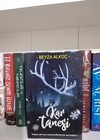 Kar tanesi Beyza Alkoç
